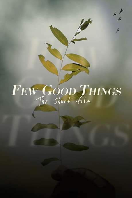 Few Good Things (2022) movie poster