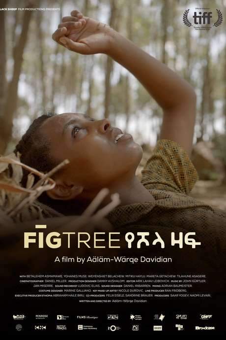 Fig Tree (2018) movie poster