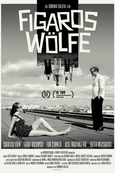 Figaros Wölfe (2017) movie poster