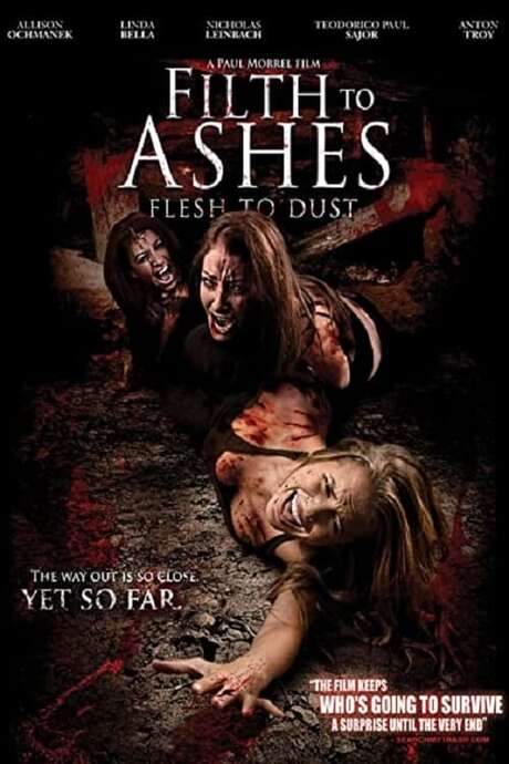 Filth to Ashes, Flesh to Dust (2011) movie poster