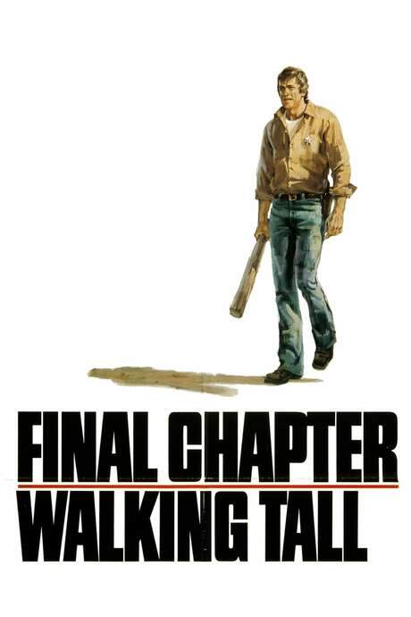 Final Chapter: Walking Tall (1977) movie poster