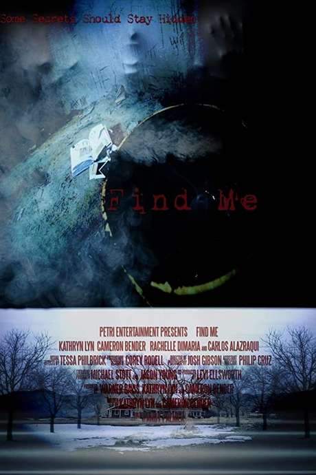 Find Me (2014) movie poster