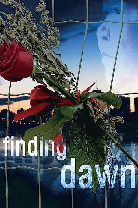 Finding Dawn (2006) movie poster