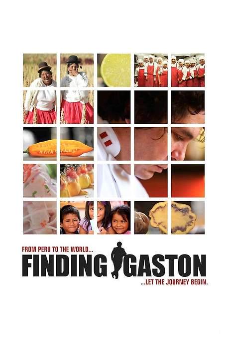 Finding Gastón (2014) movie poster