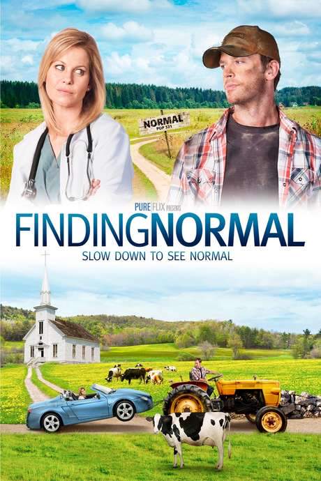 Finding Normal (2013) movie poster