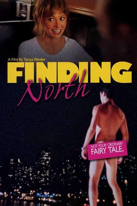 Finding North (1998) movie poster