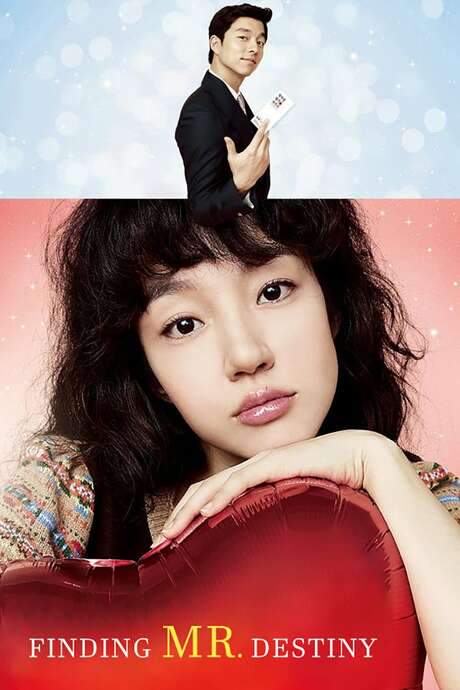 Finding Mr. Destiny (2010) movie poster