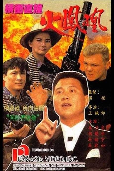 Fire Phoenix (1990) movie poster