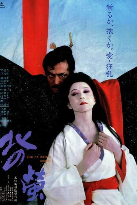 Fireflies in the North (1984) movie poster