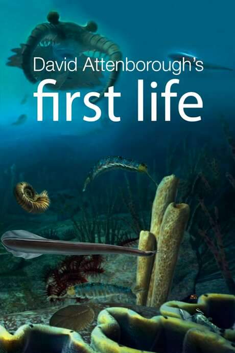 First Life (2010) movie poster