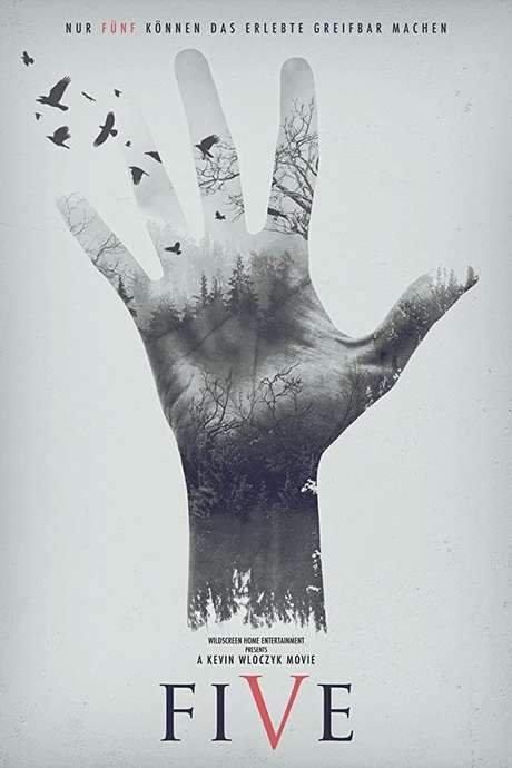 Five: Find Your Limit (2016) movie poster