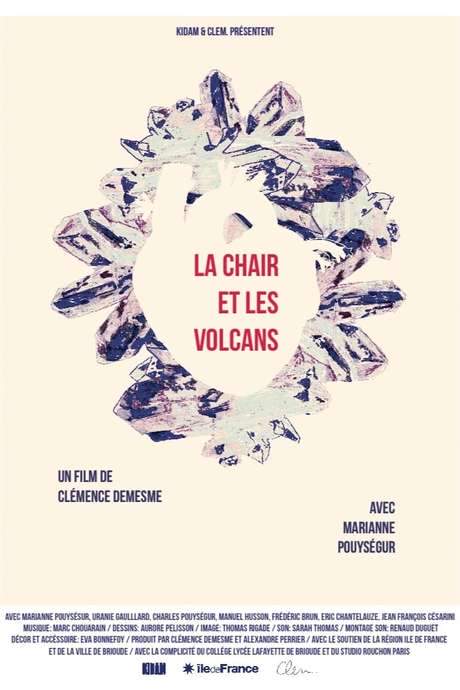 Flesh and Volcanoes (2014) movie poster