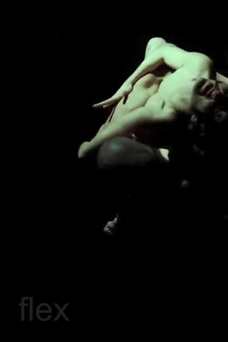 The work is a video installation created for the Anthony d’Offay gallery, showing a naked man and woman suspended in darkness as they strike each other and engage in sexual acts. Only a three‑and‑a‑half‑minute excerpt of the piece has been released commercially.