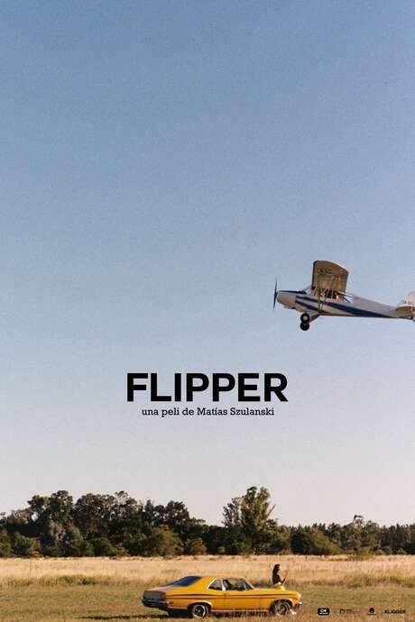 Flipper