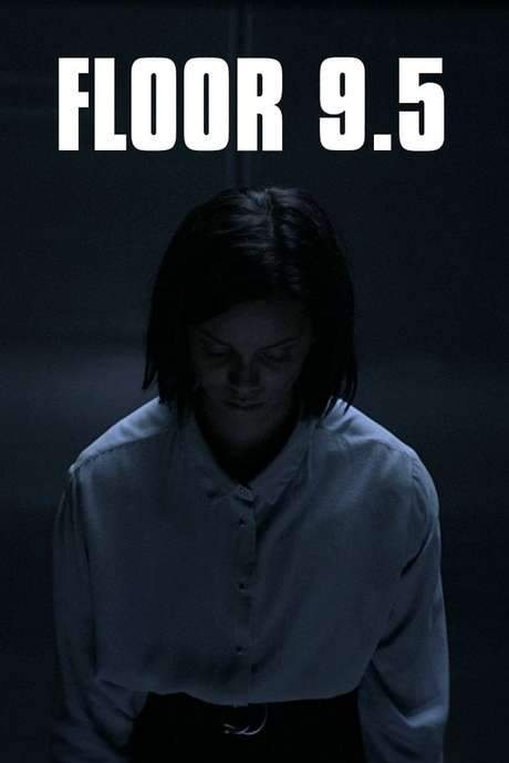 Floor 9.5 (2017) movie poster