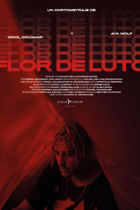 Flor de Luto (2020) movie poster