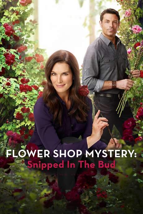 Flower Shop Mystery: Snipped in the Bud (2016) movie poster