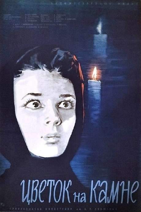 Flower on the Stone (1963) movie poster