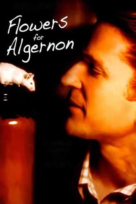 Flowers for Algernon (2000) movie poster