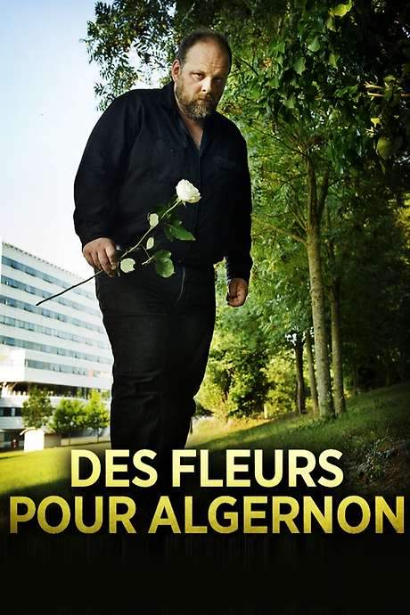 Flowers for Algernon (2014) movie poster