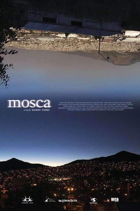 A widowed taxi driver in Mexico City raises his daughters Mitzi and Teresita while working night shifts. Haunted by his wife's loss, he drifts between night and day, longing for a love that endures. When sunlight forces him to confront reality, he wonders if a mother’s touch can be replaced, even if his wife appears as a flower or butterfly, blending dream‑like yearning with the challenges of single‑parenthood.