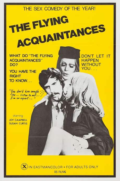 Flying Acquaintances (1973) movie poster