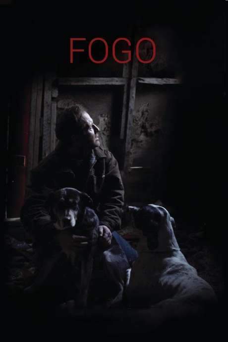 A remote community on Fogo Island faces an uncertain future as its residents are compelled to relocate and resettle. Abandoned homes gradually merge with the surrounding tundra, a visible sign of the island's decline. Despite the impending changes, some inhabitants choose to stay, clinging to cherished memories and mourning the past when life on Fogo offered a different experience. They grapple with loss and the slow disappearance of their way of life.