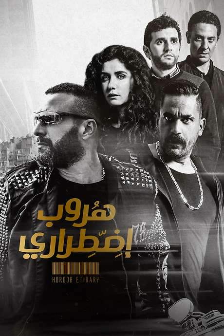 Forced Escape (2017) movie poster