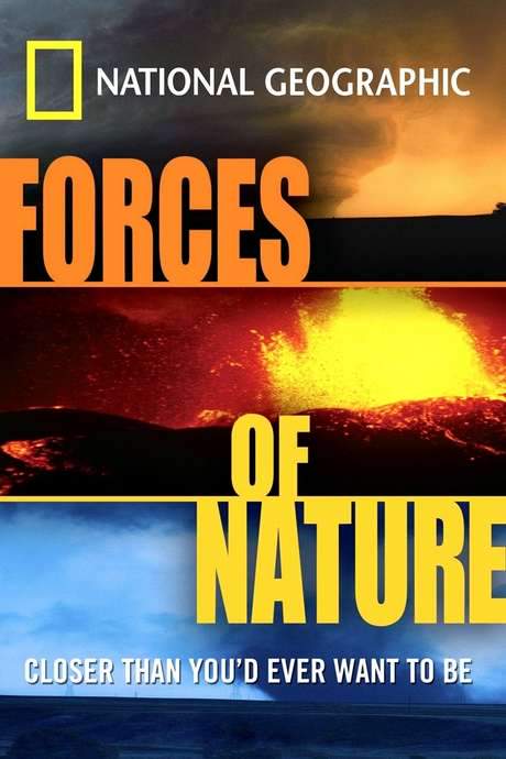 Forces Of Nature (2004) movie poster