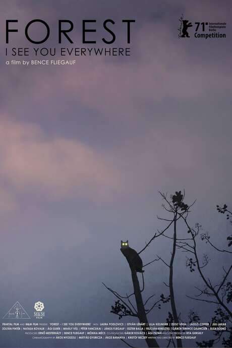 Forest: I See You Everywhere (2021) movie poster