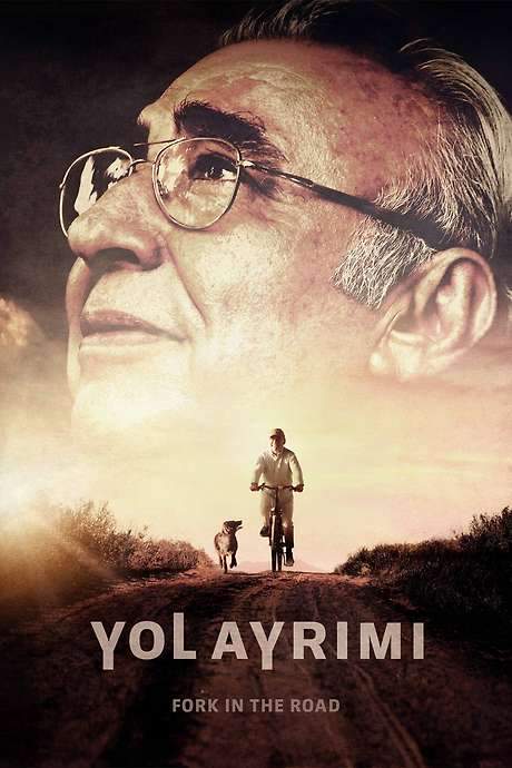 Fork in the Road (2017) movie poster