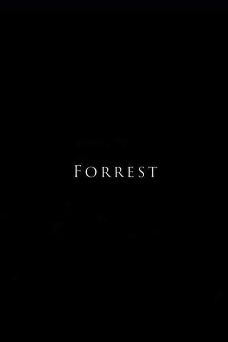 A man details how he came to own several tens of tapes of Robert Zemeckis’ 1994 masterpiece: Forrest Gump.
