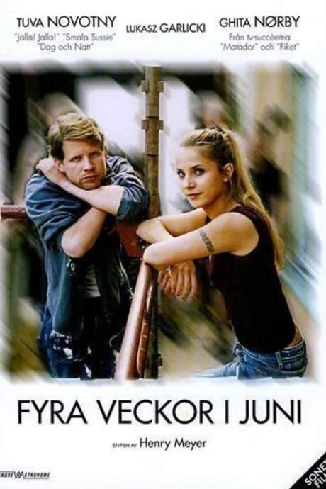 Four Weeks in June (2005) movie poster