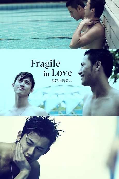 Fragile in Love (2007) movie poster