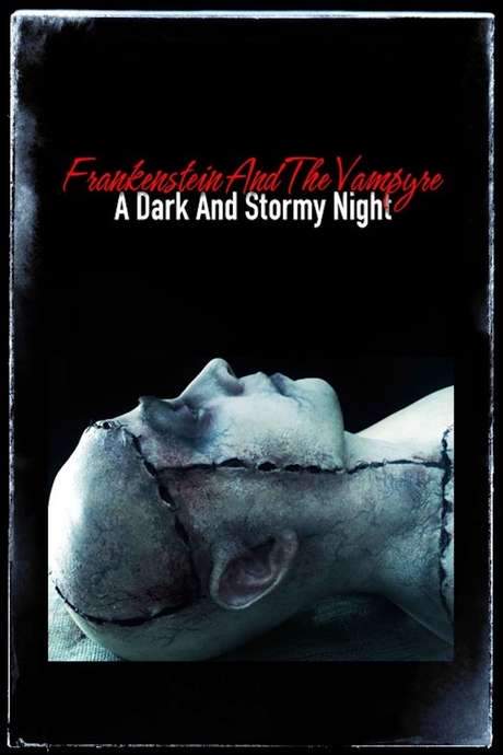 Frankenstein and the Vampyre: A Dark and Stormy Night (2014) movie poster