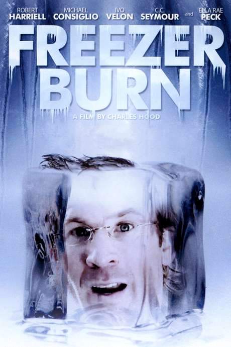 Freezer Burn (2007) movie poster