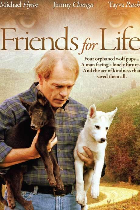 Friends for Life (2008) movie poster