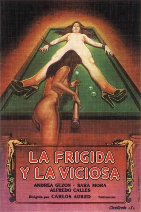 Frigid Fantasies (1981) movie poster