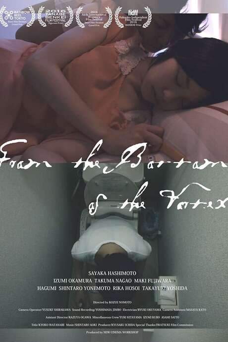 From the Bottom of the Vortex (2015) movie poster