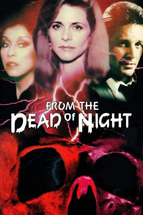 From the Dead of Night (1989) movie poster