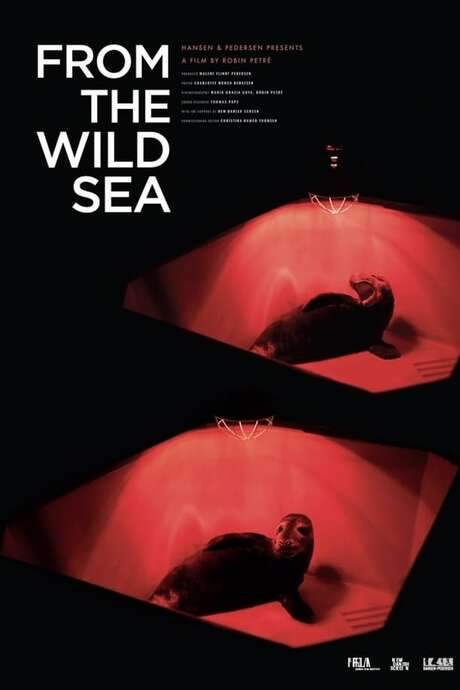 From the Wild Sea (2021) movie poster