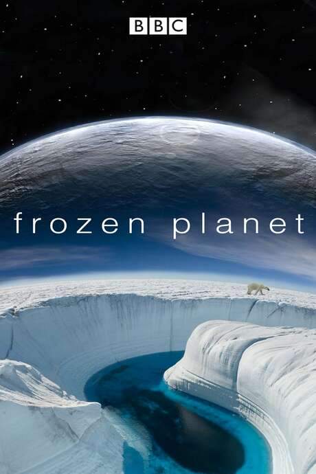Frozen Planet (2011) movie poster