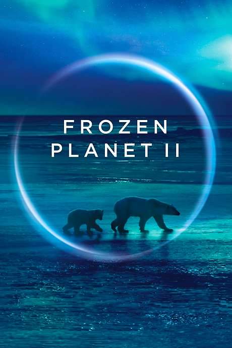 Frozen Planet II (2022) movie poster