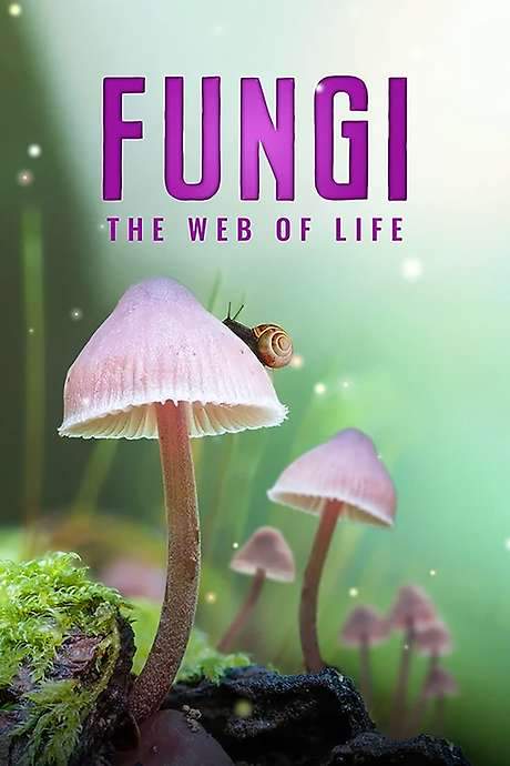 Fungi: The Web of Life (2023) movie poster