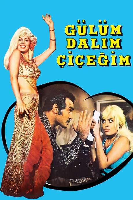 Gülüm, Dalım, Çiçeğim (1971) movie poster