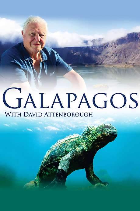 Galapagos 3D with David Attenborough (2013) movie poster