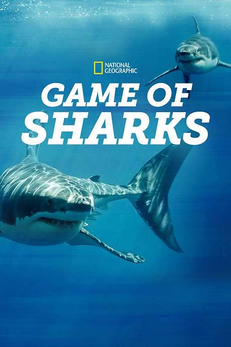 Game of Sharks (2022) movie poster
