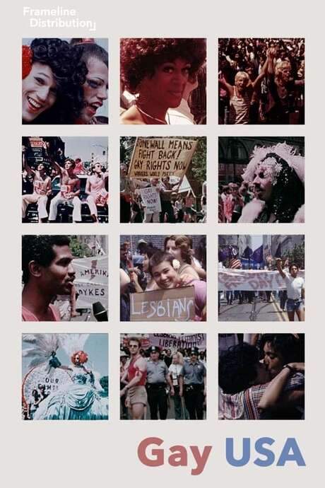 Gay USA (1977) movie poster
