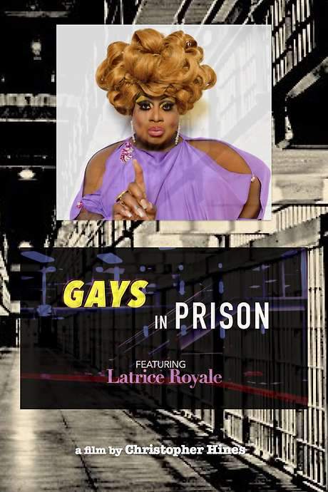 Gays in Prison (2015) movie poster