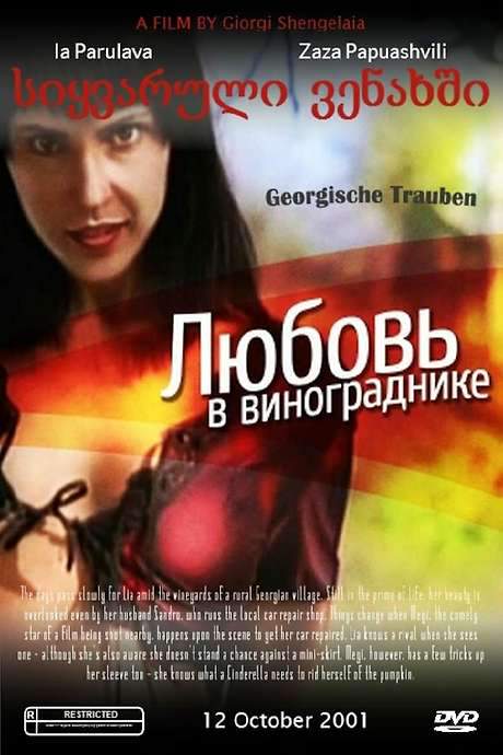 Georgian Grapes (1999) movie poster